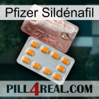 Pfizer Sildénafil new13